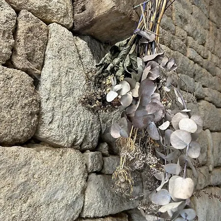 度假居 Maison De Champeaux Saint-Fraimbault-sur-Pisse