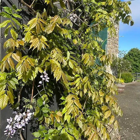 Maison De Champeaux Prázdninový dům
