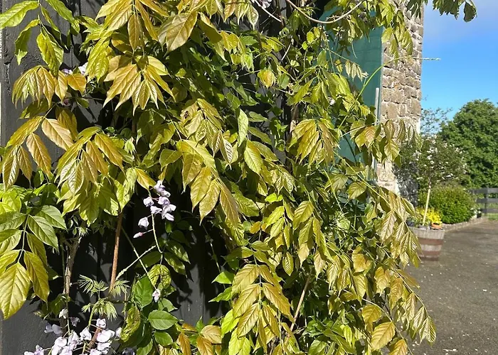 Maison De Champeaux Casa vacanze